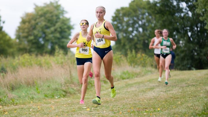 Cross country competes in regionals